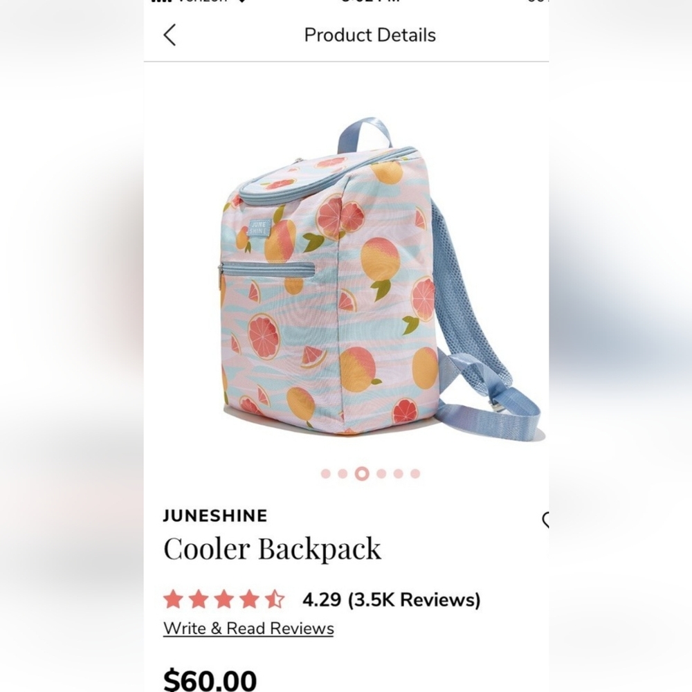 NIB June Shine Backpack Cooler